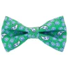 Noeud papillon motif cachemire et fleurs vert