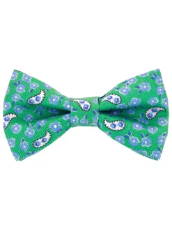 Noeud papillon motif cachemire et fleurs vert