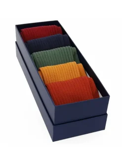 Semainier chaussettes fil d'Écosse - Ivy League